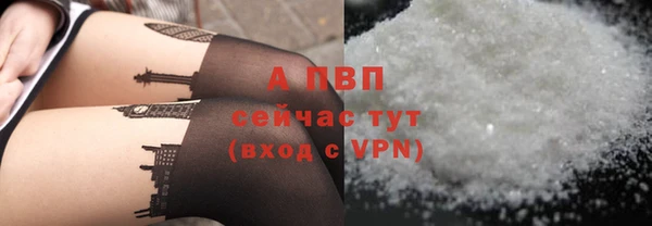 экстази Белокуриха