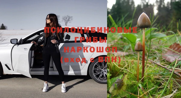 экстази Белокуриха