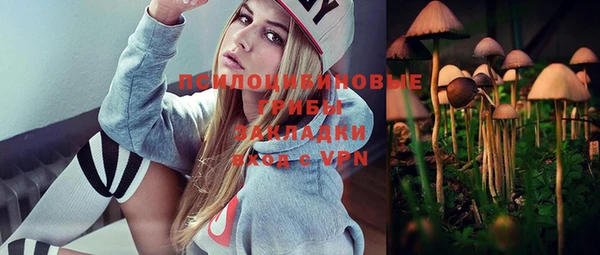 экстази Белокуриха