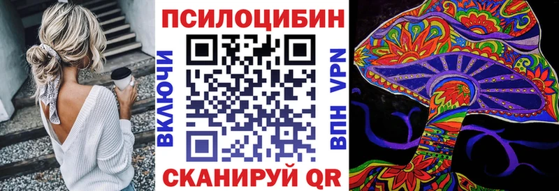 это телеграм  Козьмодемьянск  Галлюциногенные грибы Psilocybine cubensis 
